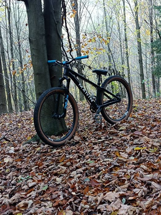 Rower dirt marin Alcatraz