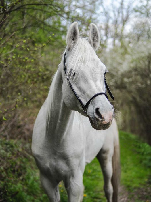 Noclegi- Kraków Ojcowski Park Narodowy/otulina parku