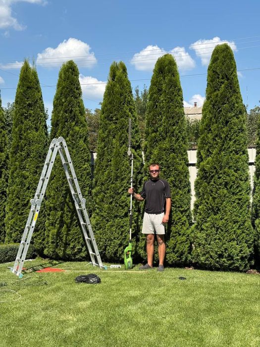 Покоси трави,стрижка рослин,посадки рослин,ландшафтний дизайн,садівник