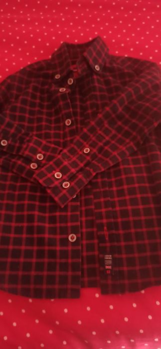 Camisa lion of porsches menino 3_4 anos