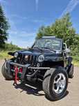 Buggy Gsmoon 800