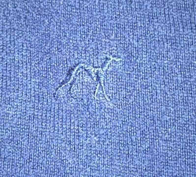 Vendo Polo Sacoor. ( Não Baixa de Preço ).