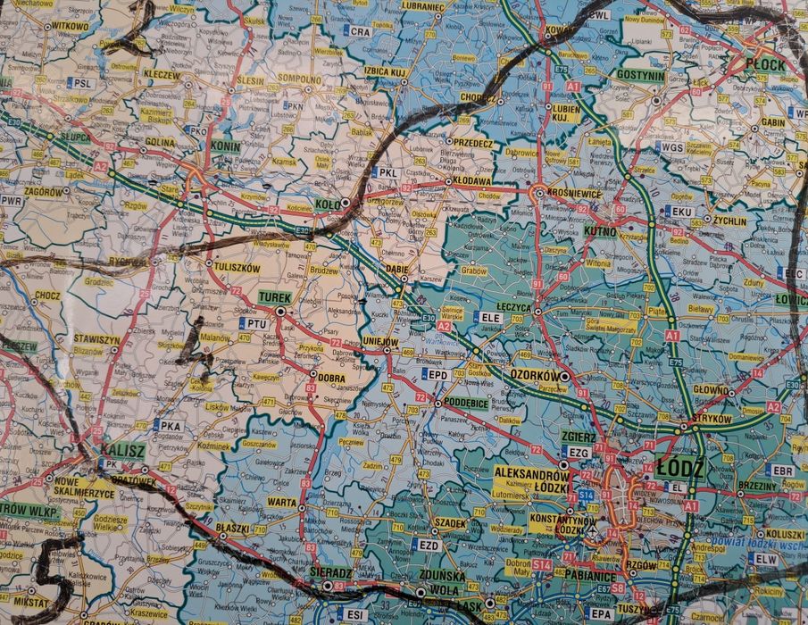 Garlacze pomorskie garlacz samica perłowy groch