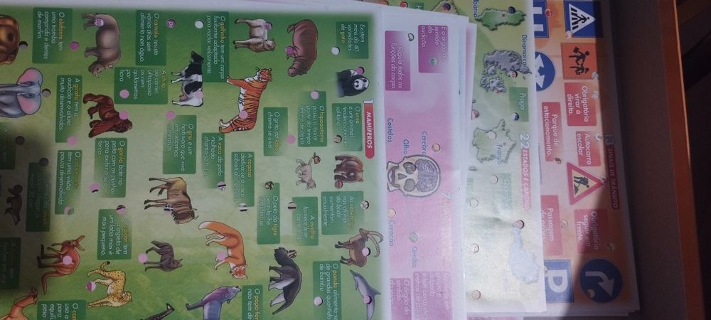 Jogo Enciclopédia da Clementoni