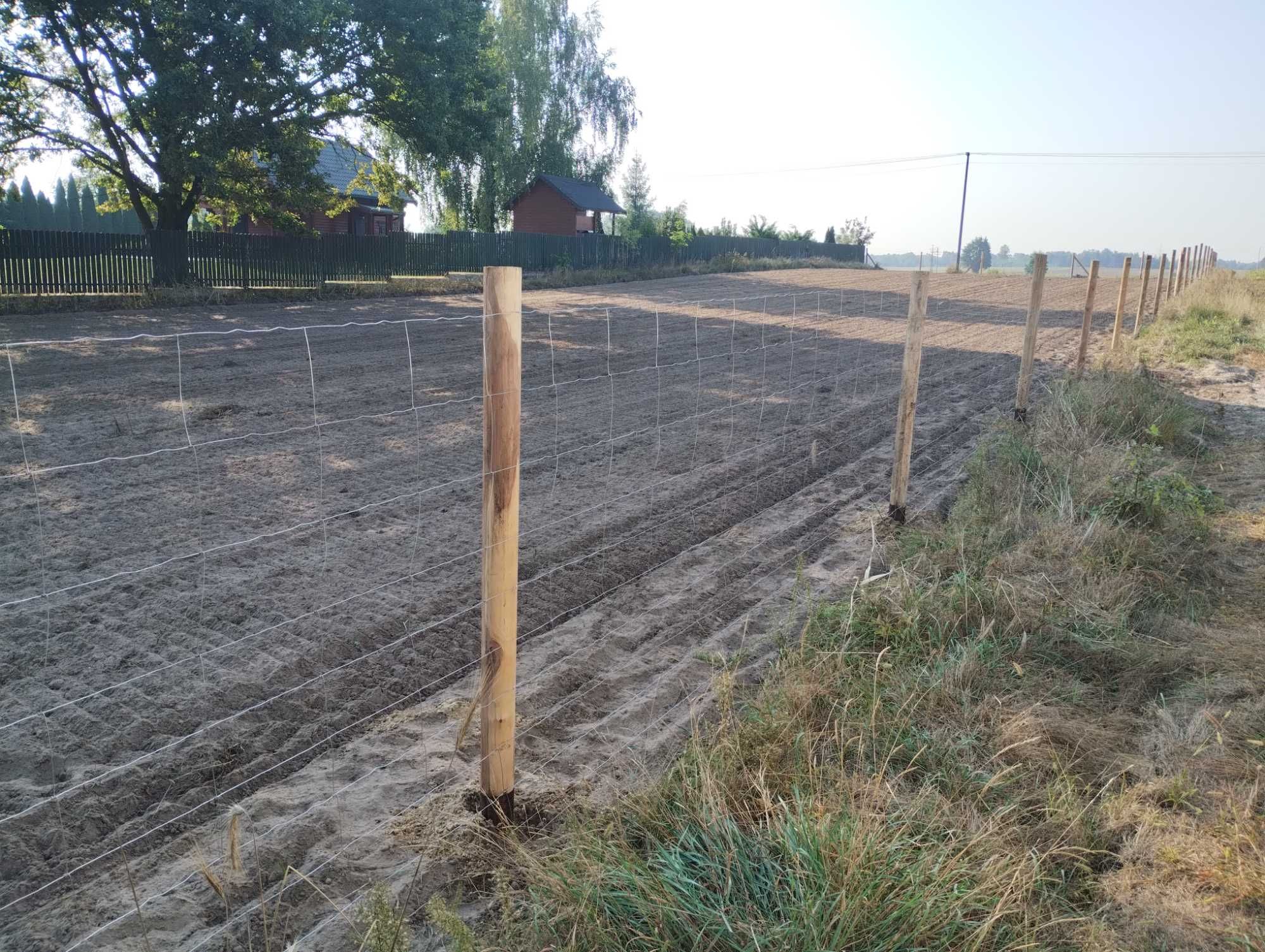 Ogrodzenie budowlane tymczasowe leśne już 16 zł. mb. Chojnice