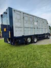 Scania L 420 Do transportu zwierząt , żywca , trzody , bydła