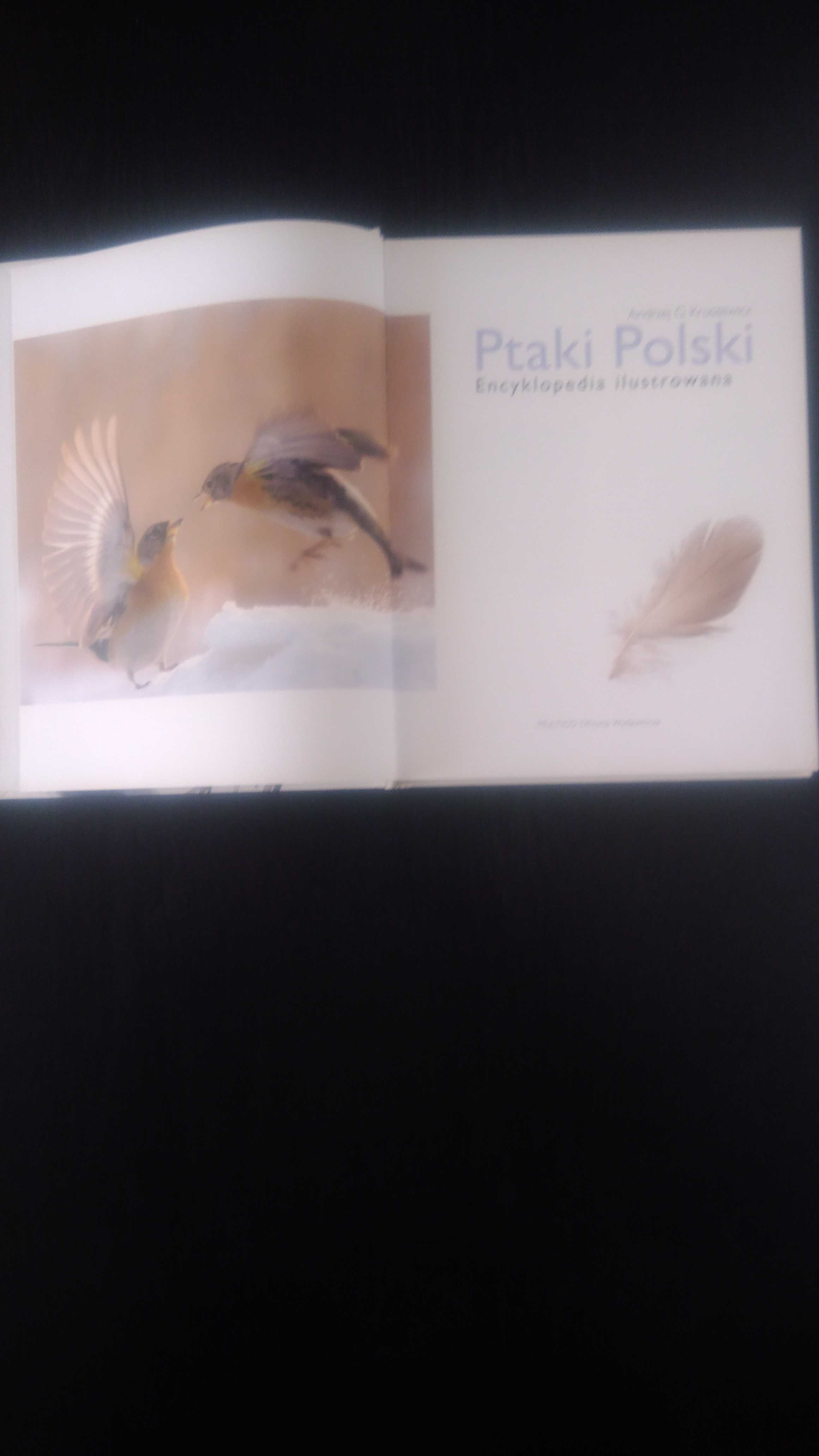 Ptaki Polski Encyklopedia ilustrowana.