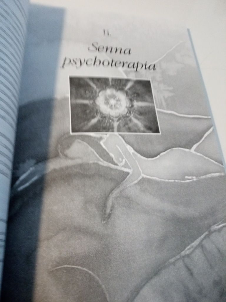 Psychologia i parapsychologia snów - E. Sienkiewicz Hipner