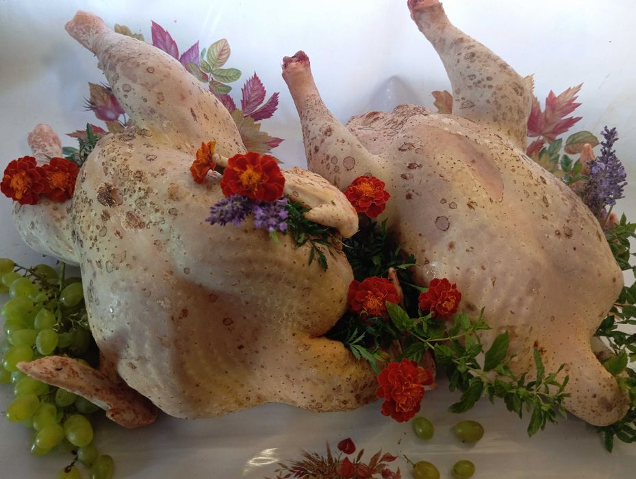 Продам. Тушки індика, індокачок ціна договірна.