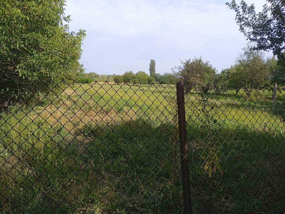 Будинок 4 кімнати на великій землі 30 соток с. Мочола 5 км до Берегова