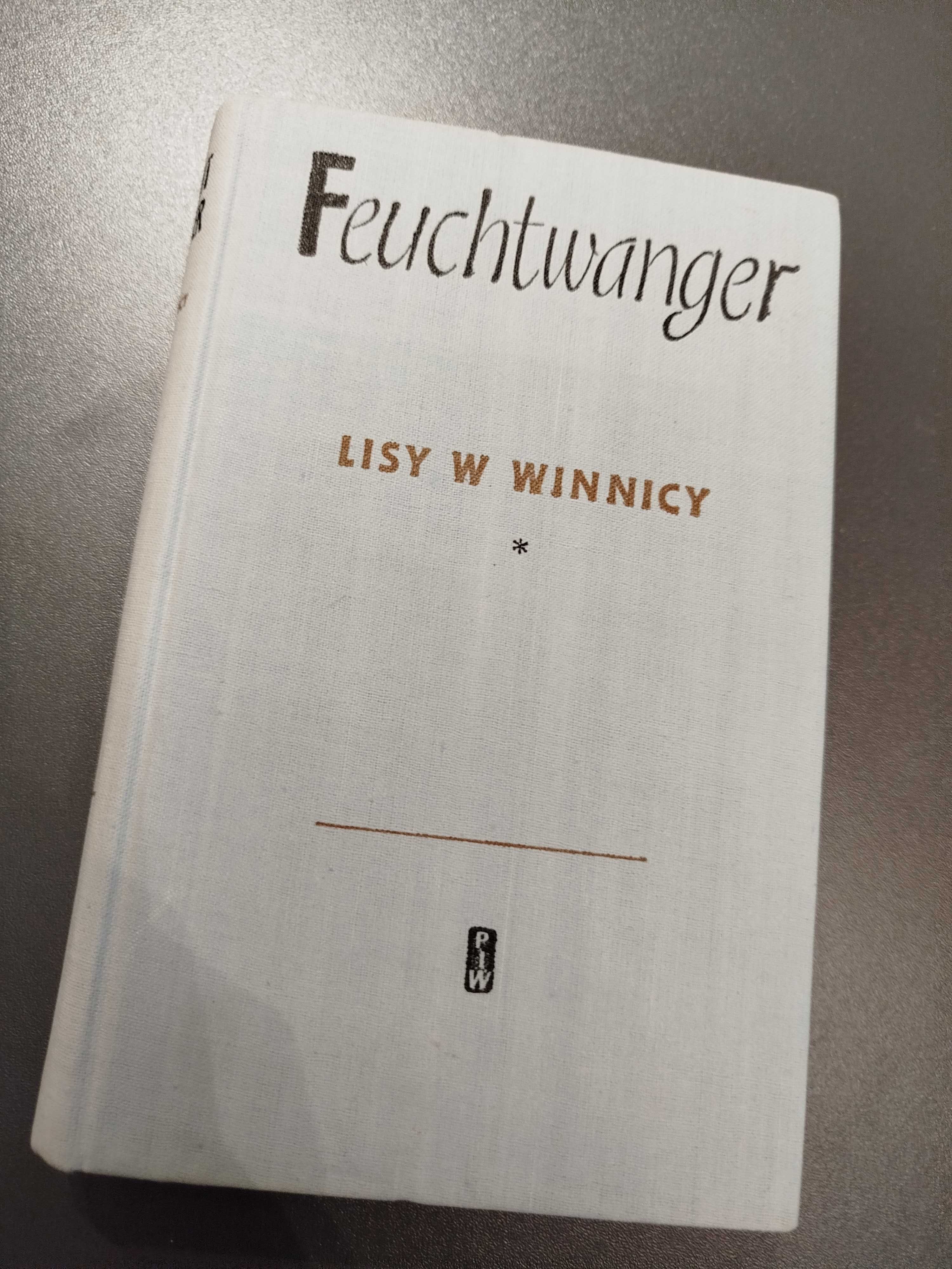 Lisy w winnicy Lion Feuchtwanger wysyłka 24h