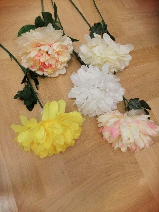 Chryzantemy duże, nowe 5 sztuk