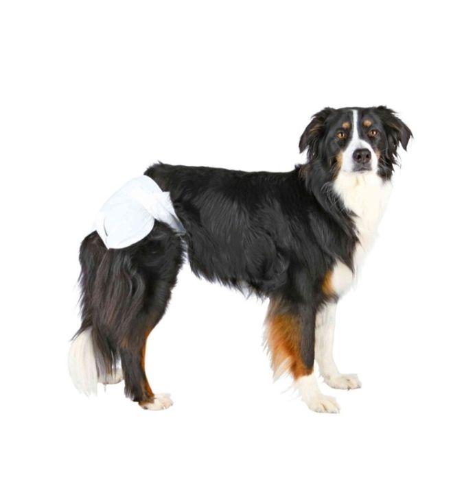 PIELUCHY DLA SUCZKI 12szt/op, rozniar XL