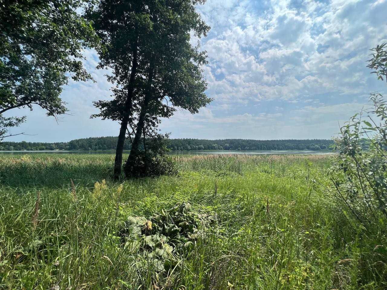 Продаж ділянки 3,11га (ОСГ). Поруч каскад озер.Фастівський р-н. ID:446