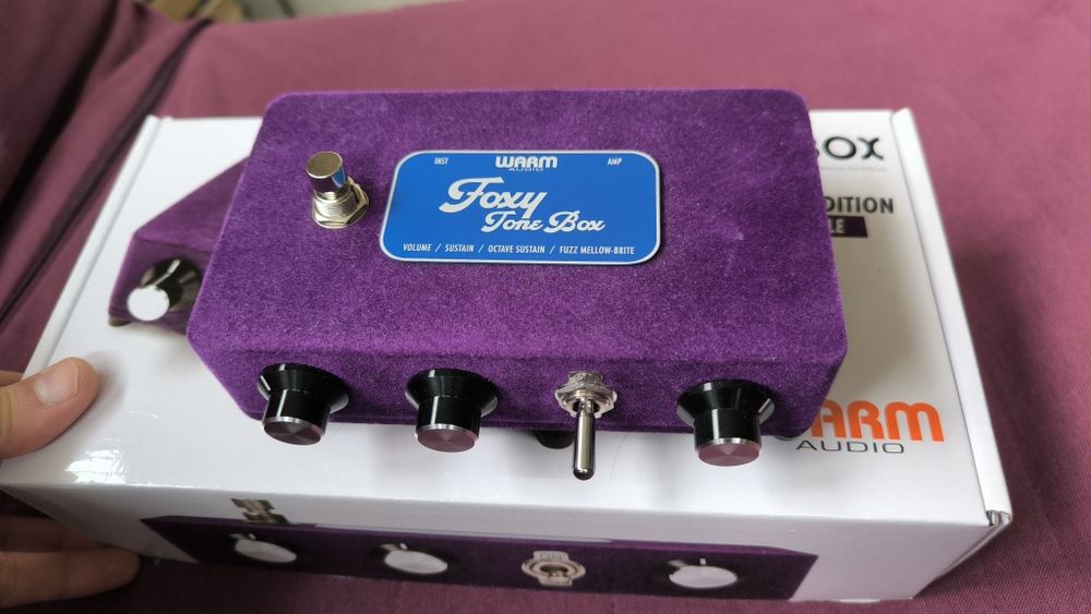 Warm Audio Foxy Tone Box fuzz fioletowy