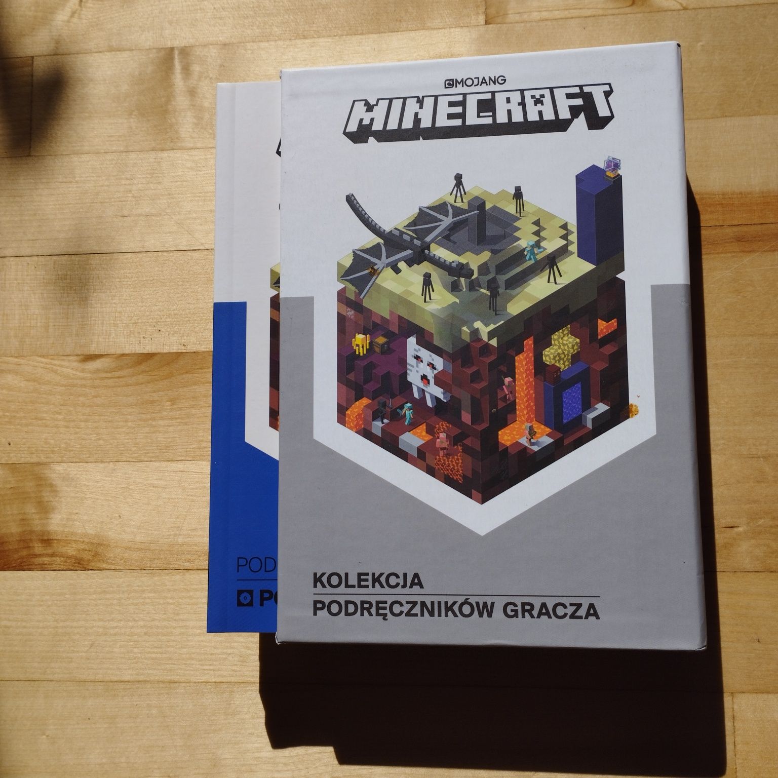 Minecraft kolekcja podręczników gracza