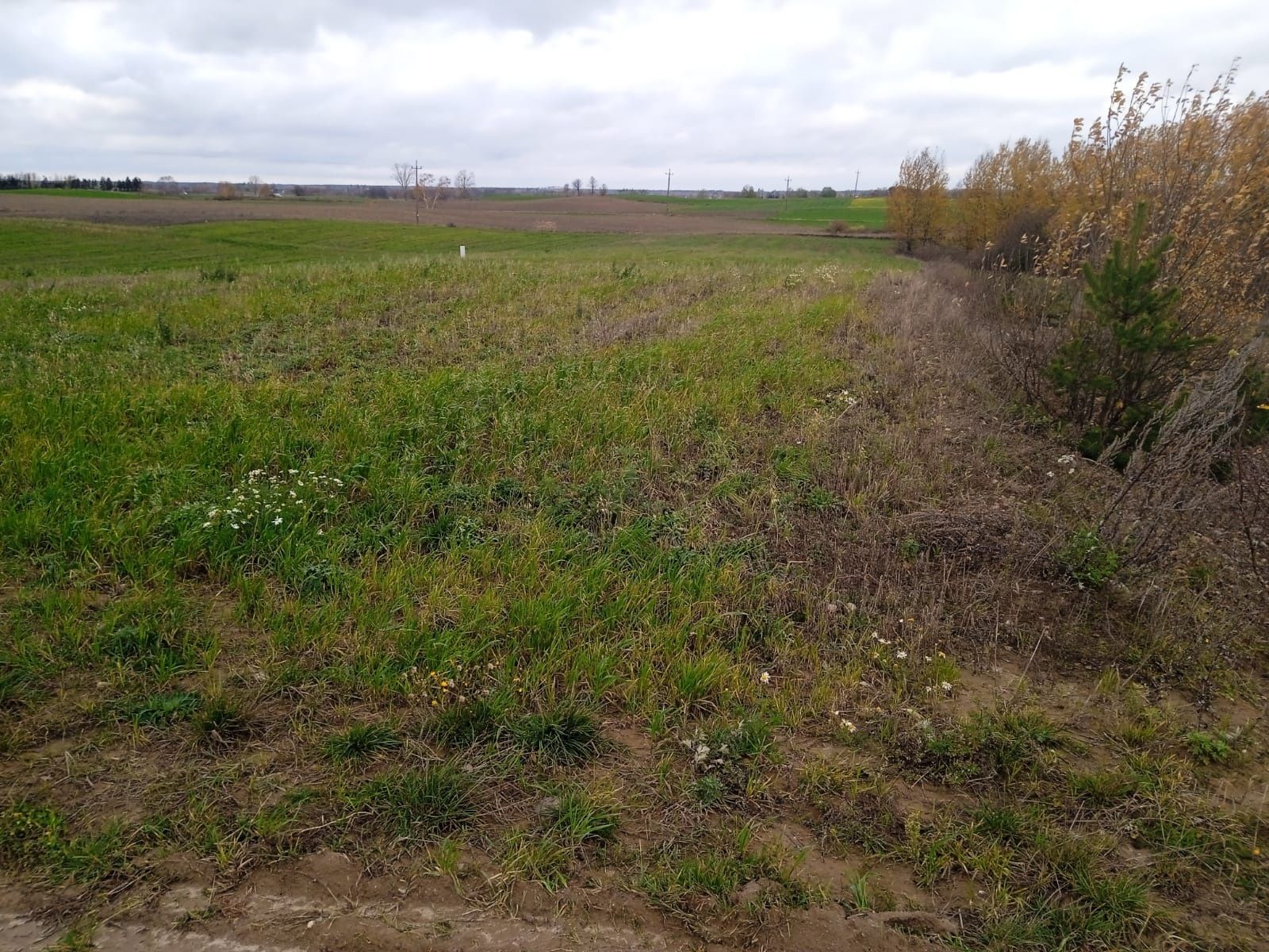 Działka budowlana 1600m2 Lubnia, gm. Brusy