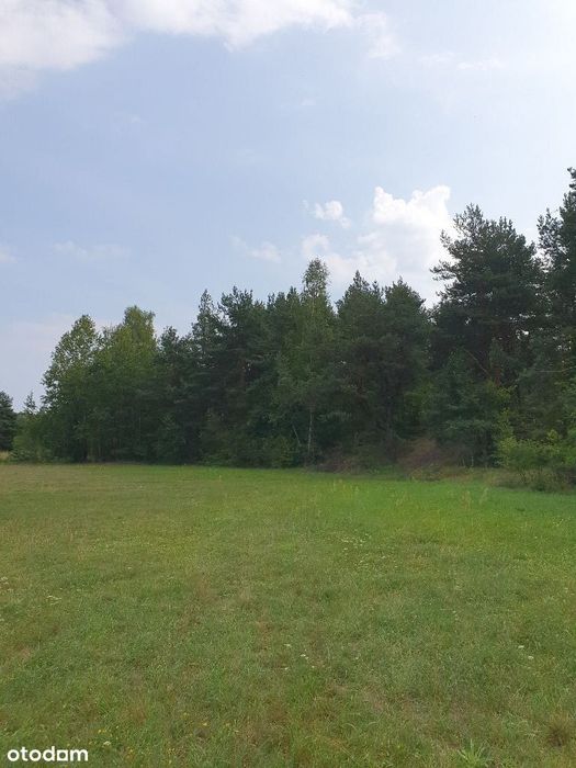 Działka budowlana w Ogrodzieńcu