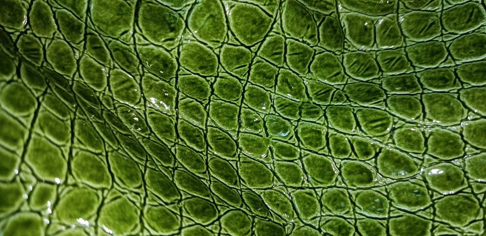 2 piękne torebki stan idealny