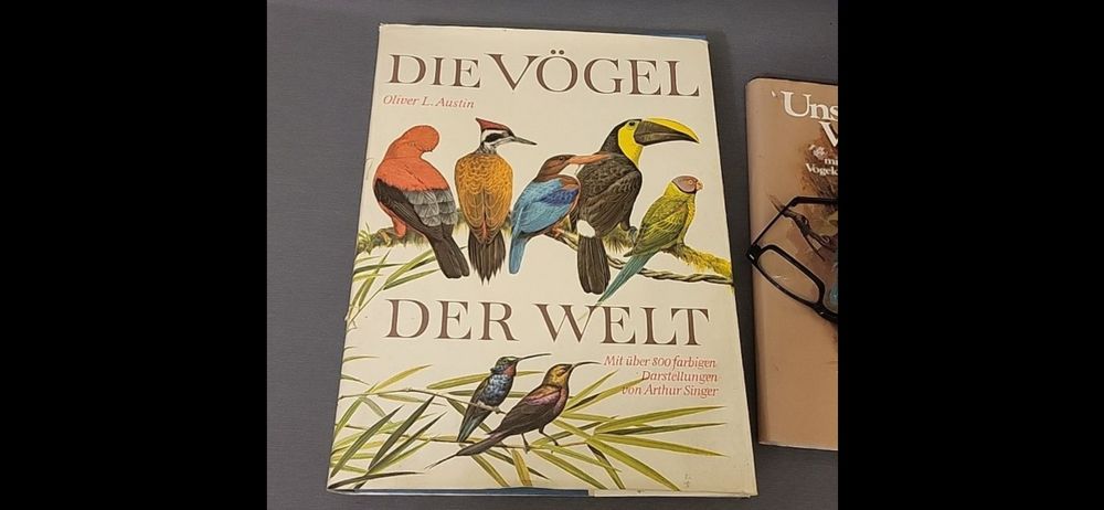 РАРИТЕТ! Рідкісне видання художника Arthur Singer, Книга 1963року