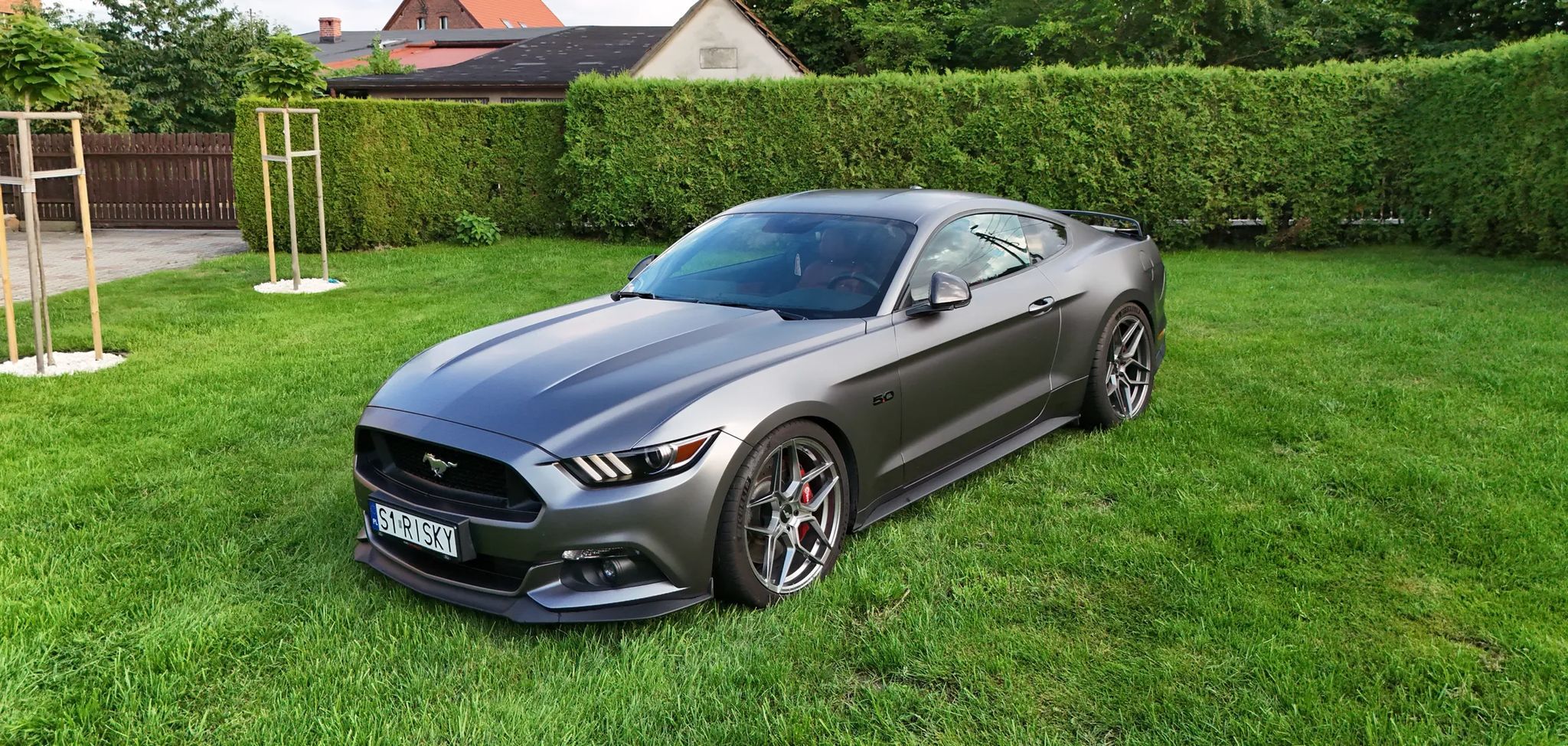 Ford Mustang Ford Mustang GT 5.0 V8