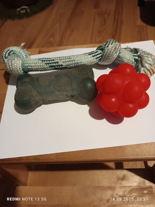 Zabawki dla szczeniąt