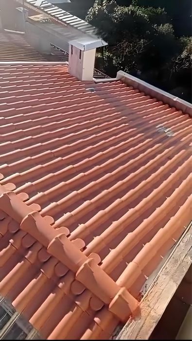 Serviços e Reparos em Telhados e Coberturas