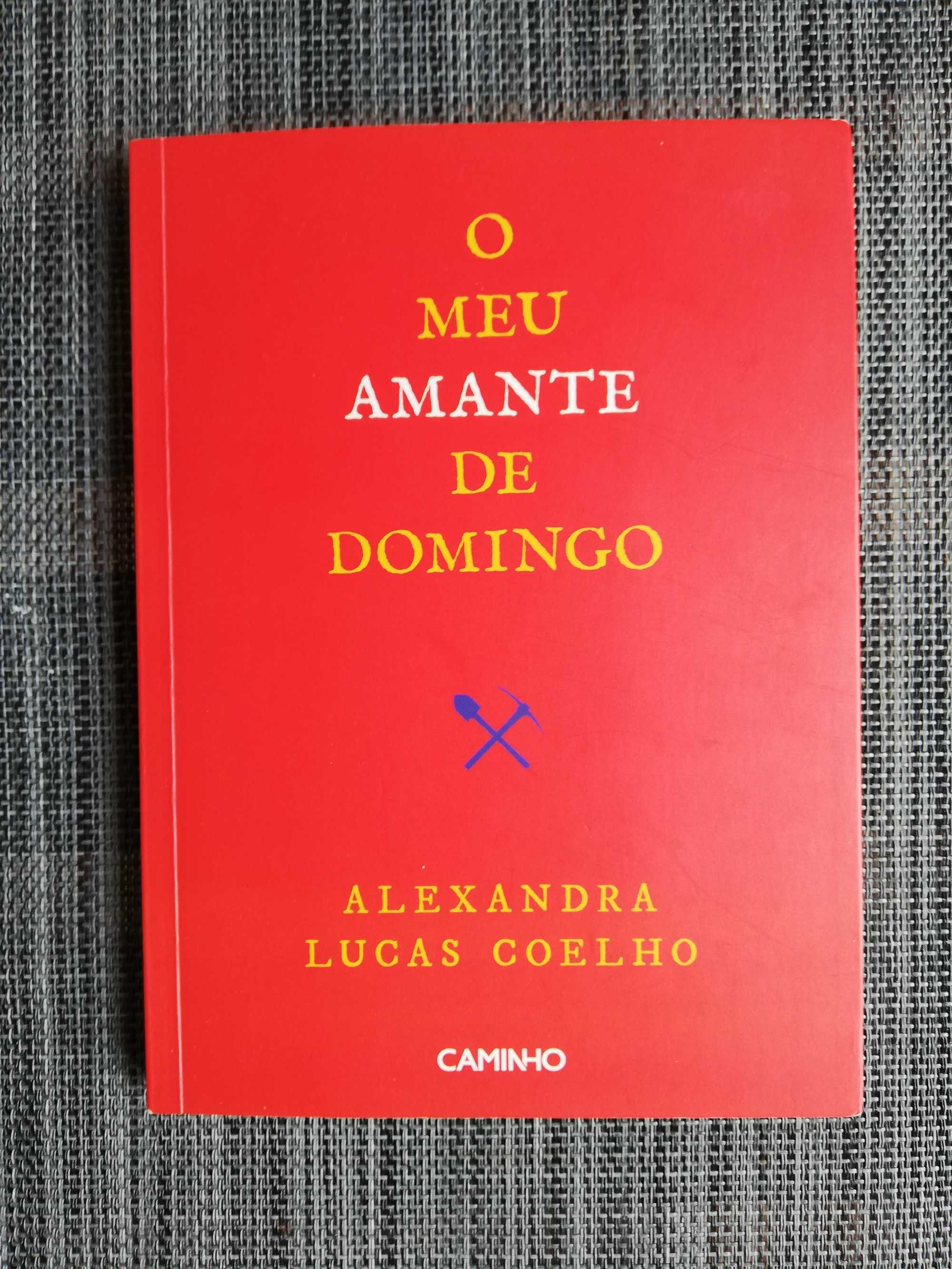 O Meu Amante de Domingo - Alexandra Lucas Coelho
