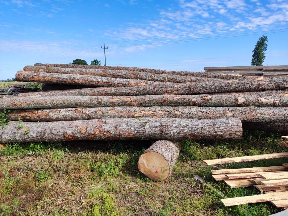 Tarcica brzozowa, bukowa, brzoza tartaczna, deska , 29mm, 40mm  53, 50