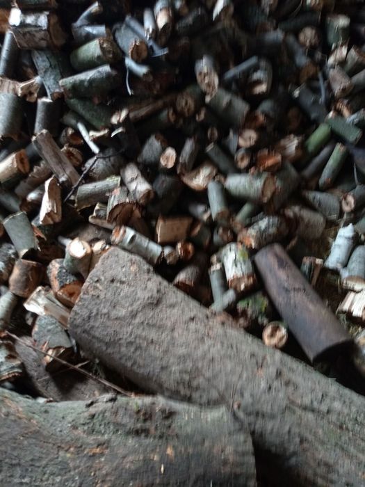 Дрова сухі 500грн куб