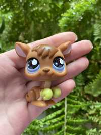 LPS Littlest pet shop kangur #682