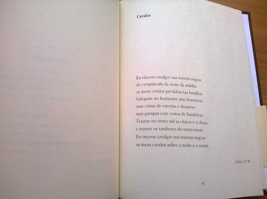 Senhora das Tempestades - Manuel Alegre