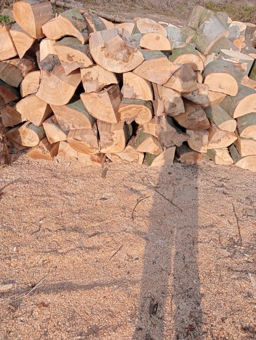 Drzewo opalowe i kominkowe