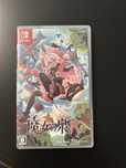 Nintendo Switch Witch Spring R