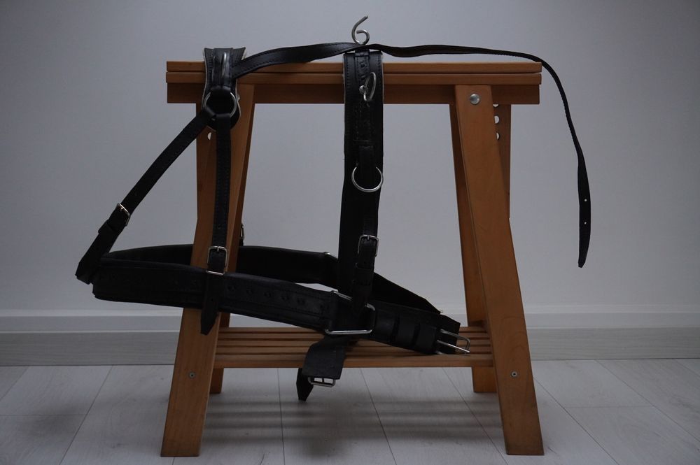 Uprząż puszorek szory skórzane