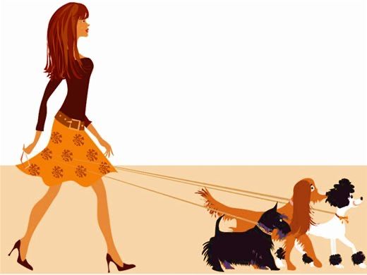 Passeios Felizes para o Seu Melhor Amigo