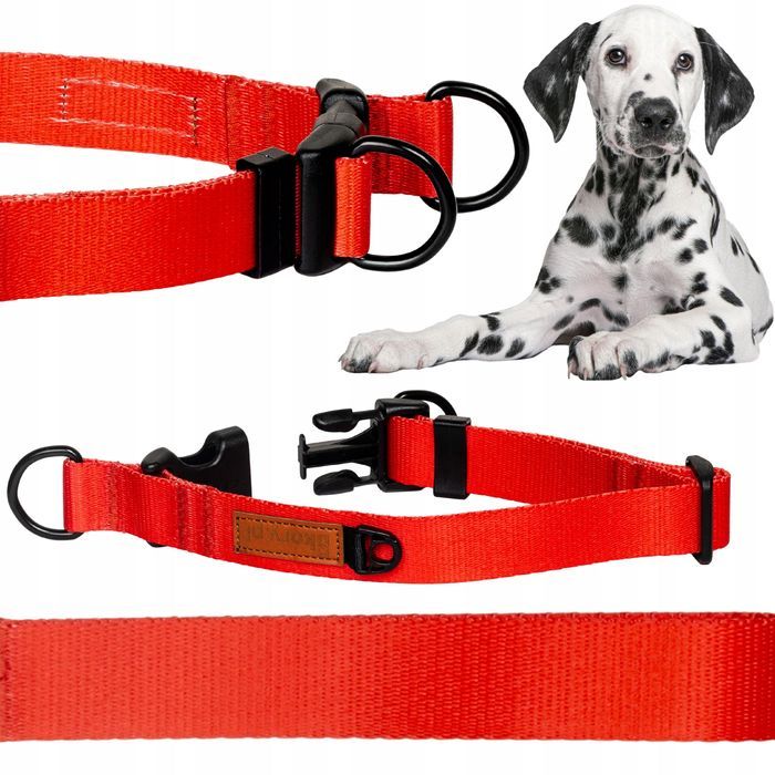 wytrzymała mocna obroża dla dużego psa wyżła labradora l/xl 30 mm