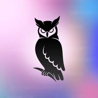Создадим ваш уникальный сервер МайнкраФт! Wisdom Owls Team