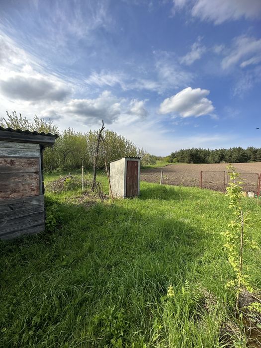Земельна ділянка біля лісу в с. Путренці