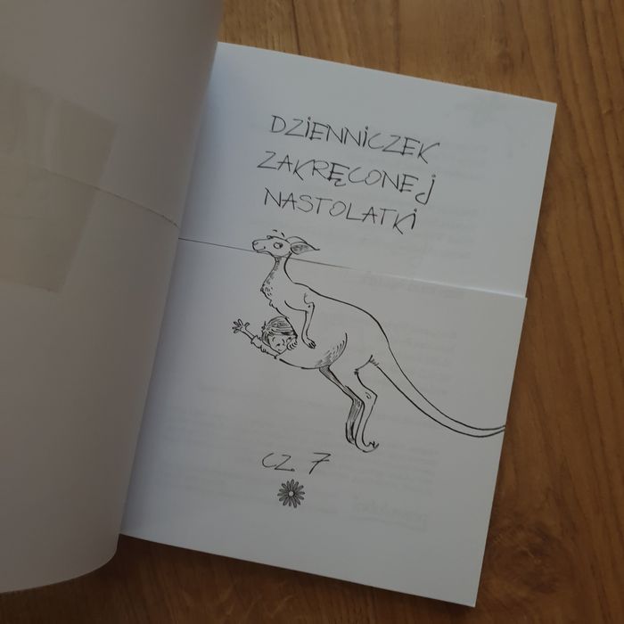 Dzienniczek zakręconej nastolatki Książka przecięta na pol i sklejona