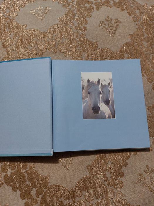 Фотоальбом (200 фото)