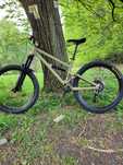 Dartmoor blackbird intro 27.5