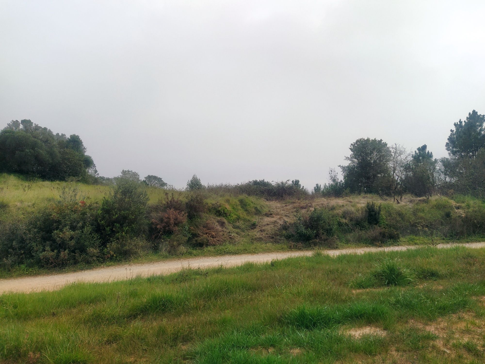 Terreno rústico na zona entre Estribeiro - Baloiço das Surraipas