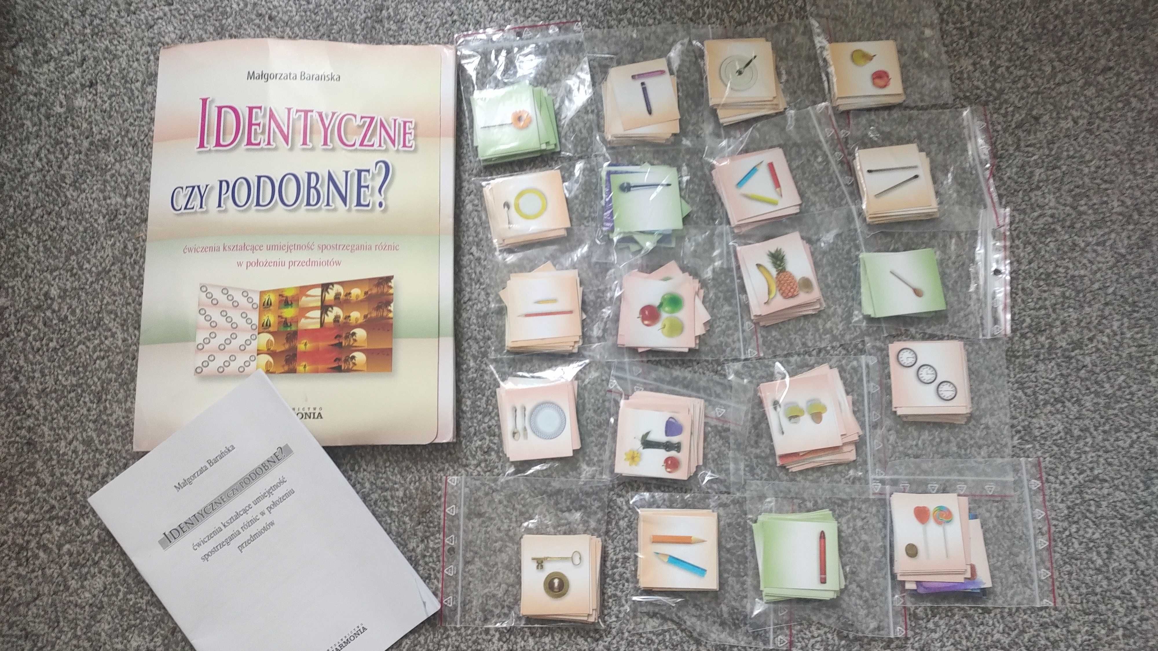 Identyczne czy podobne?- układanki. Nauka, rozwój, zabawa.