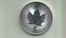 Tubo com 25 unidades de Canada Maple Leaf 2020