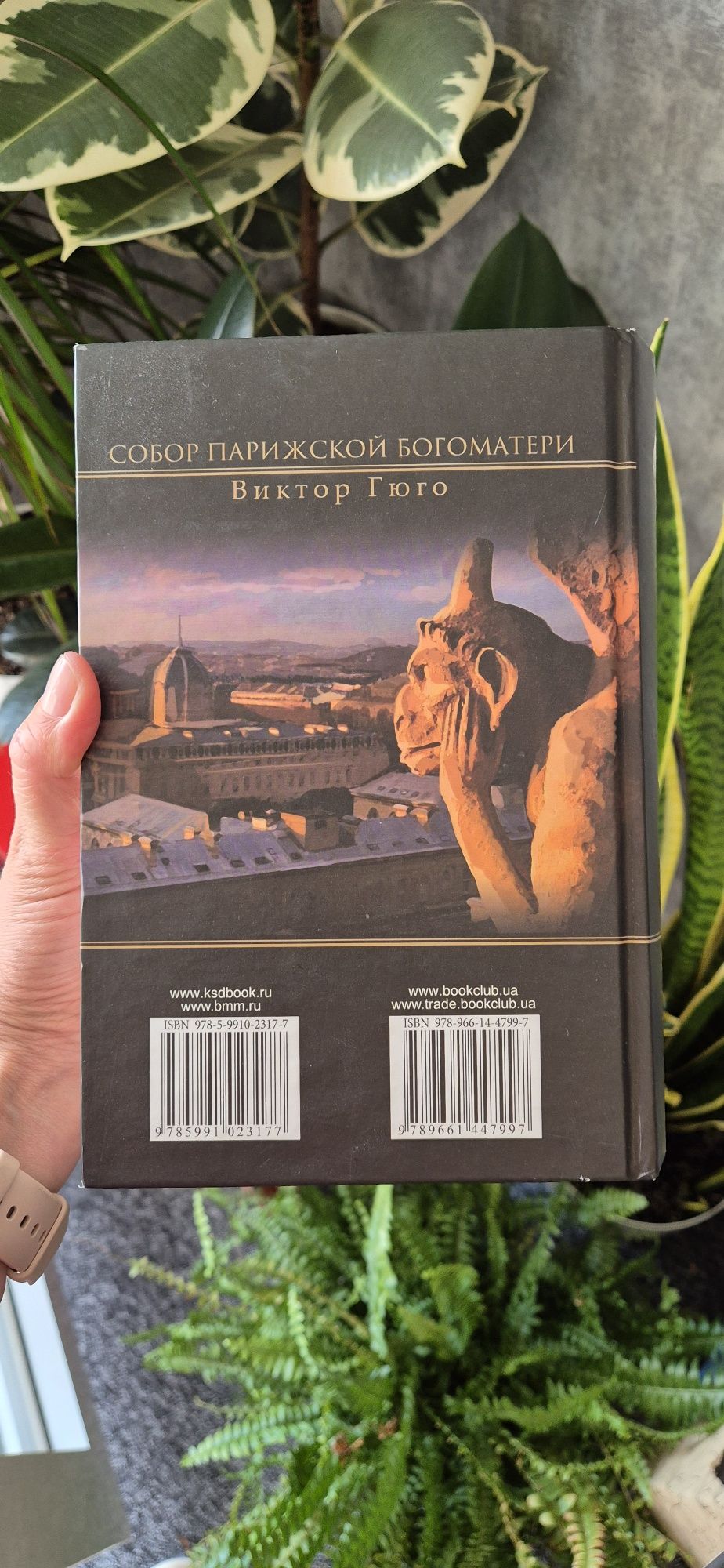 Собор Парижской богоматери. Książka w języku rosyjskim