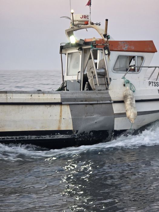 Barco pesca profissional  de coluna bravo 2com  licencas covos  ,redes