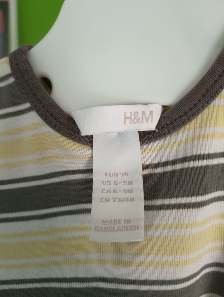Dwupak body krótki rękaw H&M 74 body dla chłopca 2 sztuki
