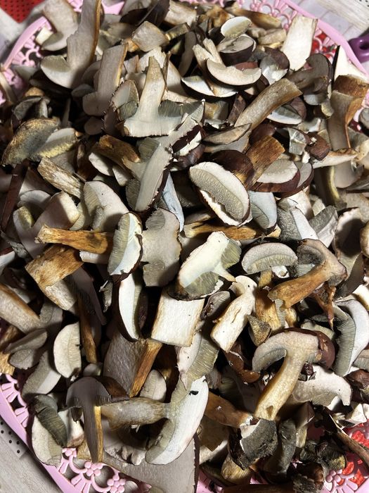 Grzyby wlasnorecznie zbierane, selekcjonowane, wszystkie zdowe