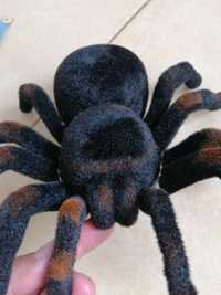 Продам паучка Tarantula